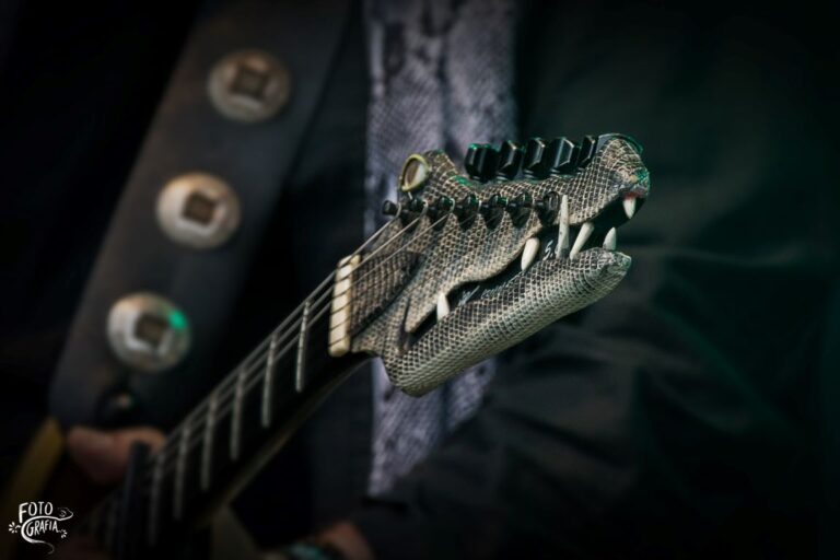 Pix 7 . Guitare Croco